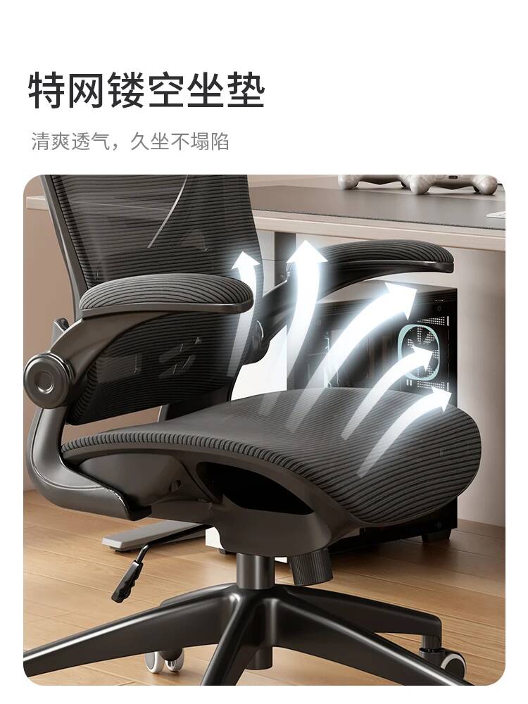 다기능 컴퓨터 사무실 의자 요추 이중 등받이 지지대 리 - Esports Gaming Design 리뷰 및 가격