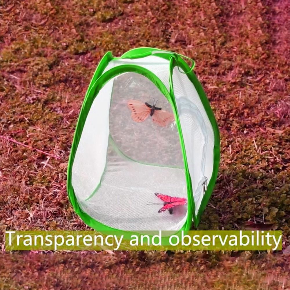녹색 접이식 곤충 케이지 투명 메쉬 지퍼 오프닝 파충류 - Green Screen Collapsible 리뷰 및 가격